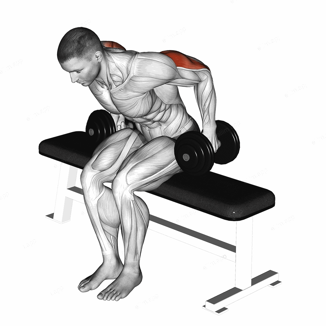 Dumbbell Seated Kickback exercise targeting Upper Arms and Triceps Brachii