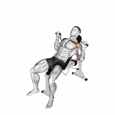 Band Incline Bench Press exercise targeting Chest