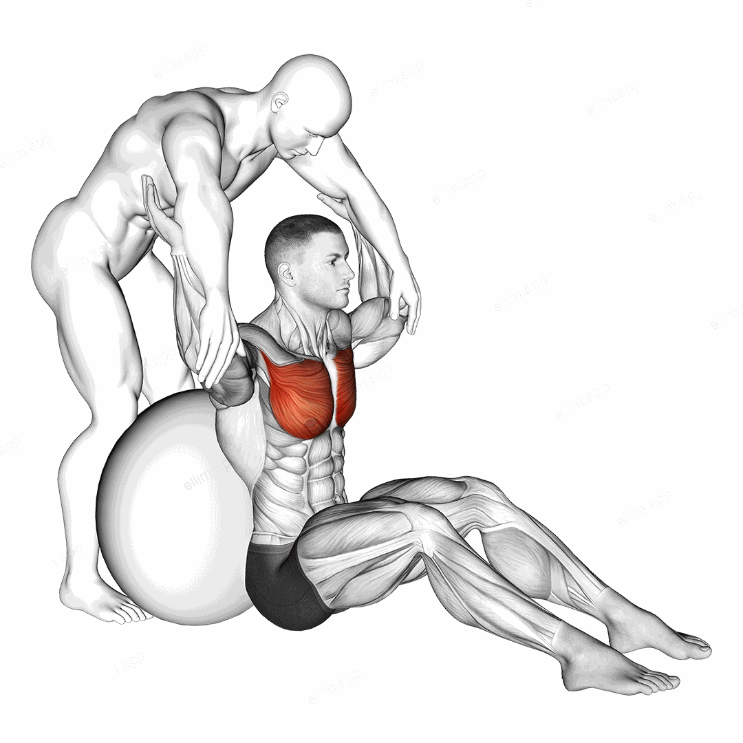 Assisted Seated Pectoralis Major Stretch With Stability Ball exercise targeting Chest