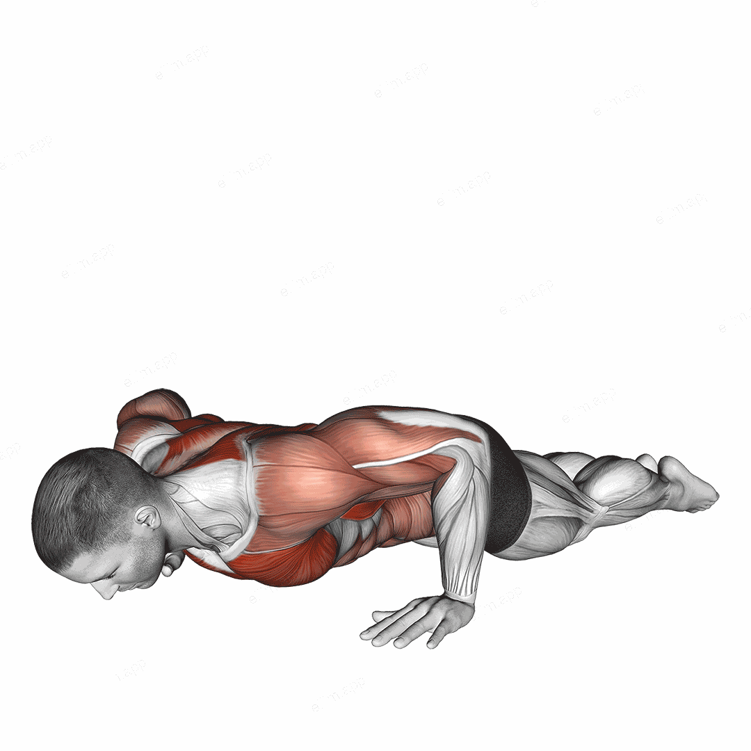 Bodyweight Kneeling Push-up Row exercise targeting Chest and Infraspinatus