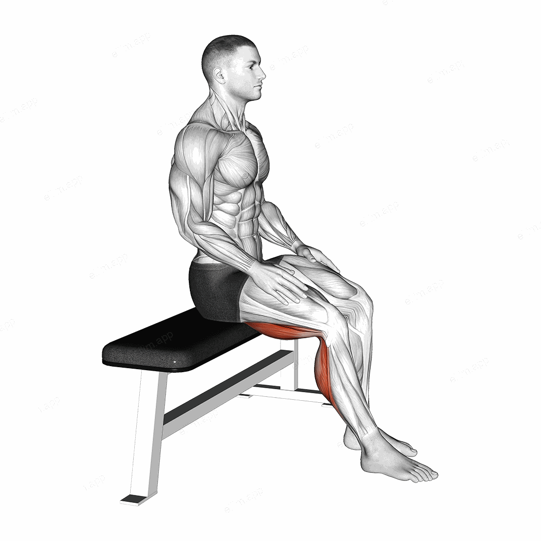 Seated Foot Slide exercise targeting Calves