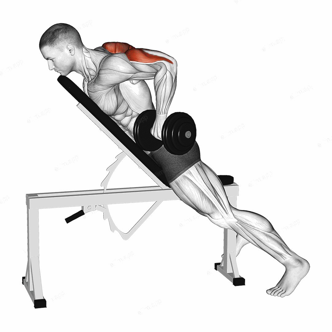 Dumbbell Incline Triceps Kickback exercise targeting Upper Arms