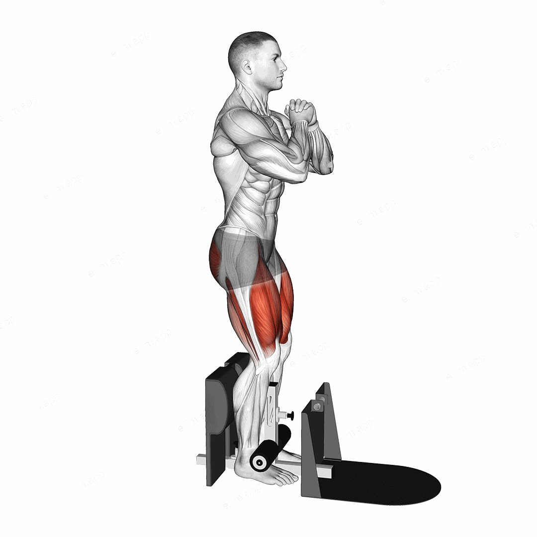 Bodyweight Supported Squat exercise targeting Thighs