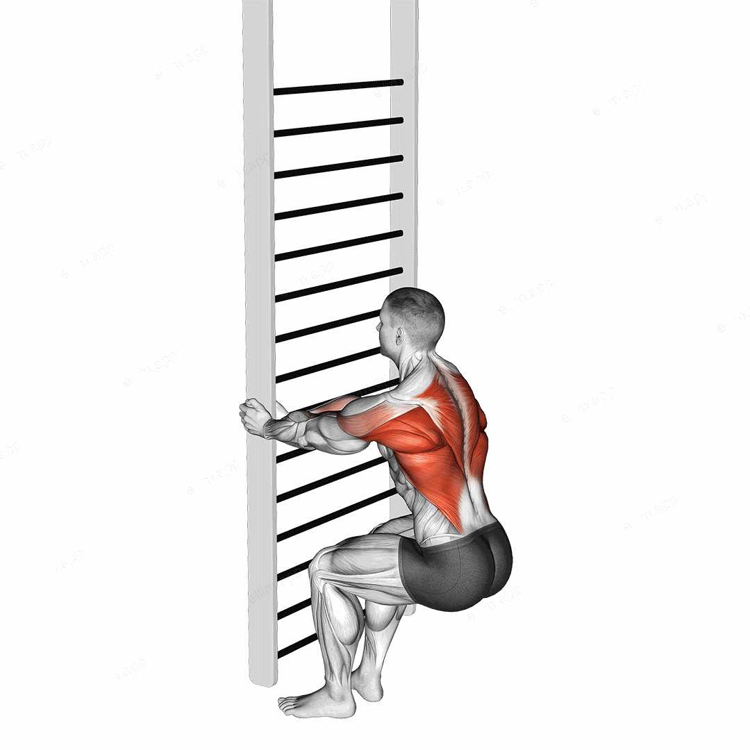 Bodyweight Squatting Row exercise targeting Back and Infraspinatus
