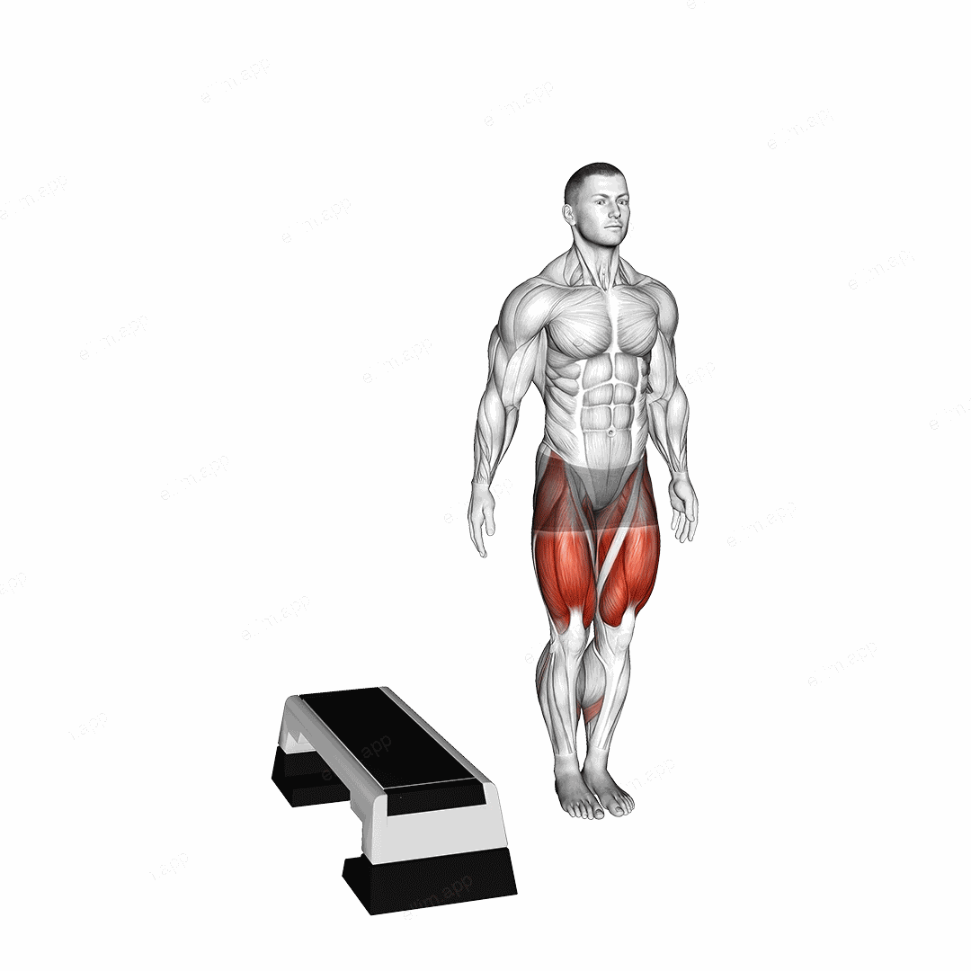 Lateral Step-up with Knee Drive exercise targeting Thighs and Adductor Brevis