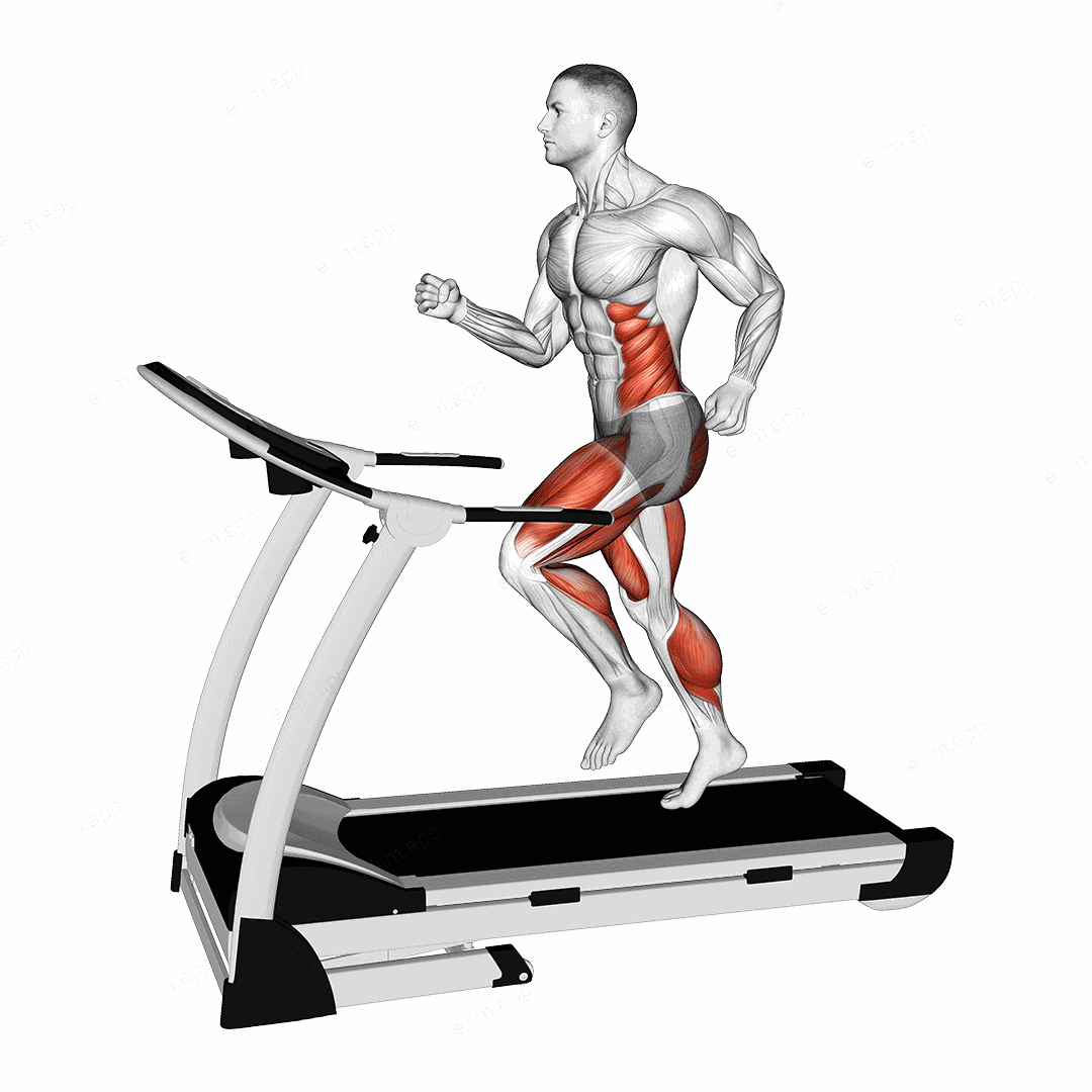 Run (equipment) exercise targeting Cardio