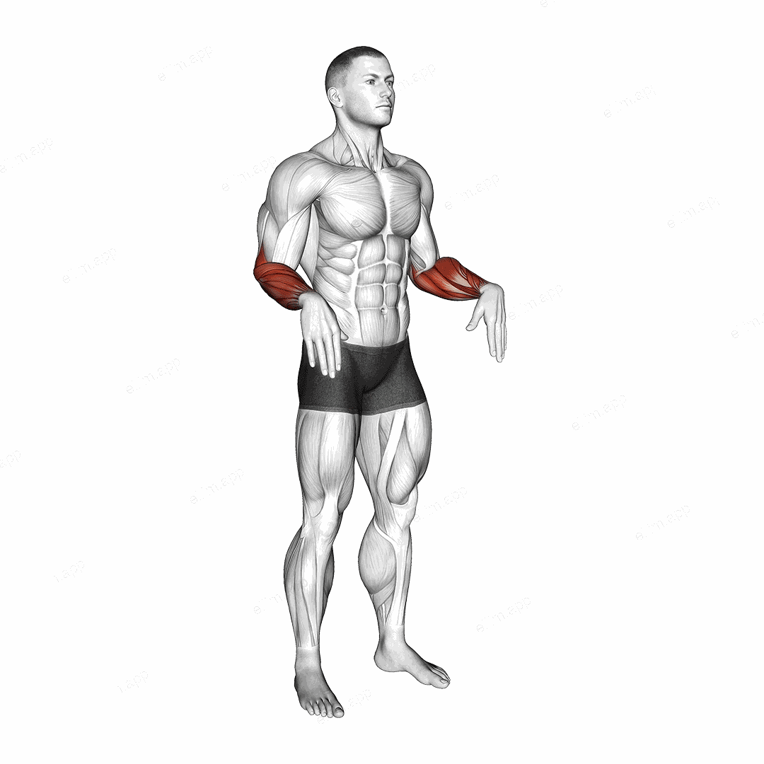 Wrist Circles exercise targeting Forearms and Wrist Extensors