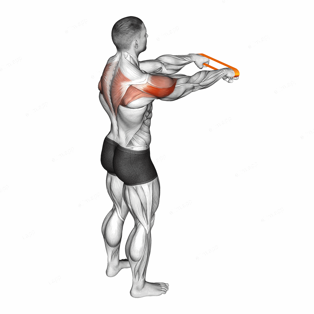 Resistance Band Rear Fly exercise targeting Shoulders and Deltoid Posterior