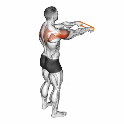Resistance Band Rear Fly exercise targeting Shoulders and Deltoid Posterior