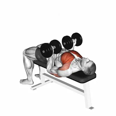 Dumbbell Reverse Bench Press exercise targeting Chest