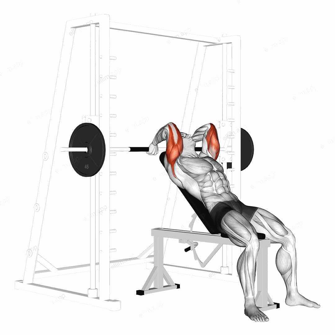 Smith Machine Incline Tricep Extension exercise targeting Upper Arms