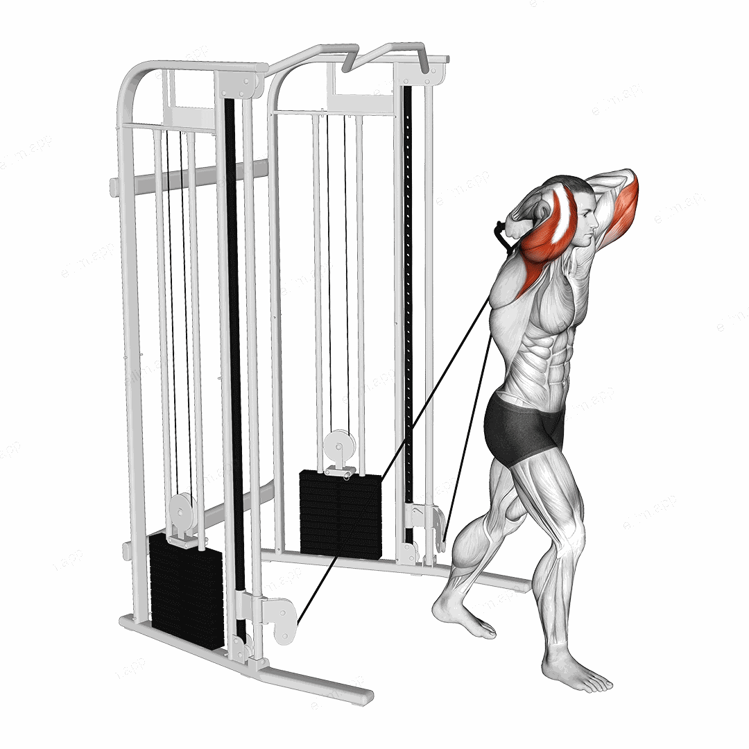 Cable Standing Crossover Overhead Tricep Extension exercise targeting Upper Arms and Triceps Brachii
