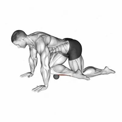 Roll Ball Tibialis Anterior exercise targeting Calves