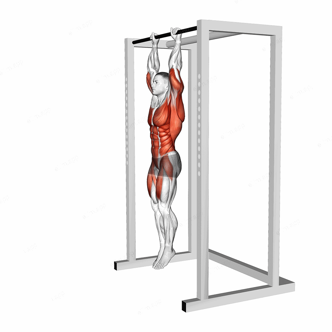 Hanging Front Lever Hold exercise targeting Waist