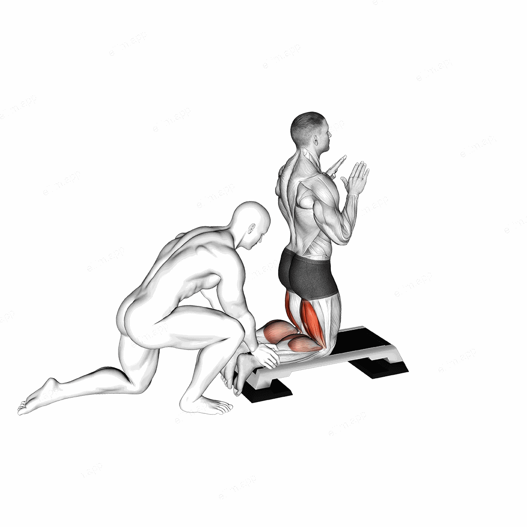 Assisted Inverse Leg Curl exercise targeting Thighs and Hamstrings