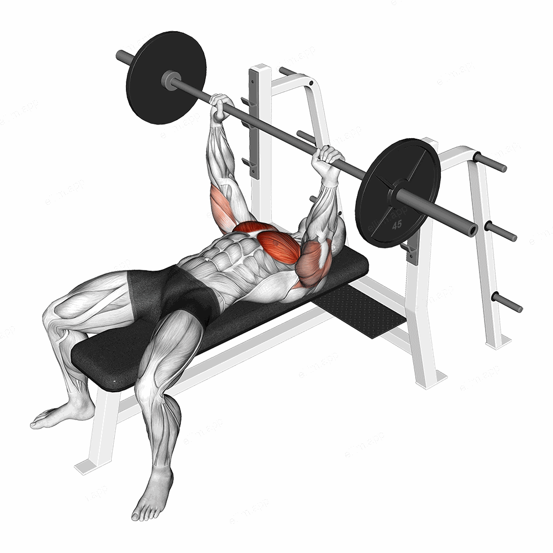 Barbell Pause Bench Press exercise targeting Chest and Pectoralis Major Sternal Head