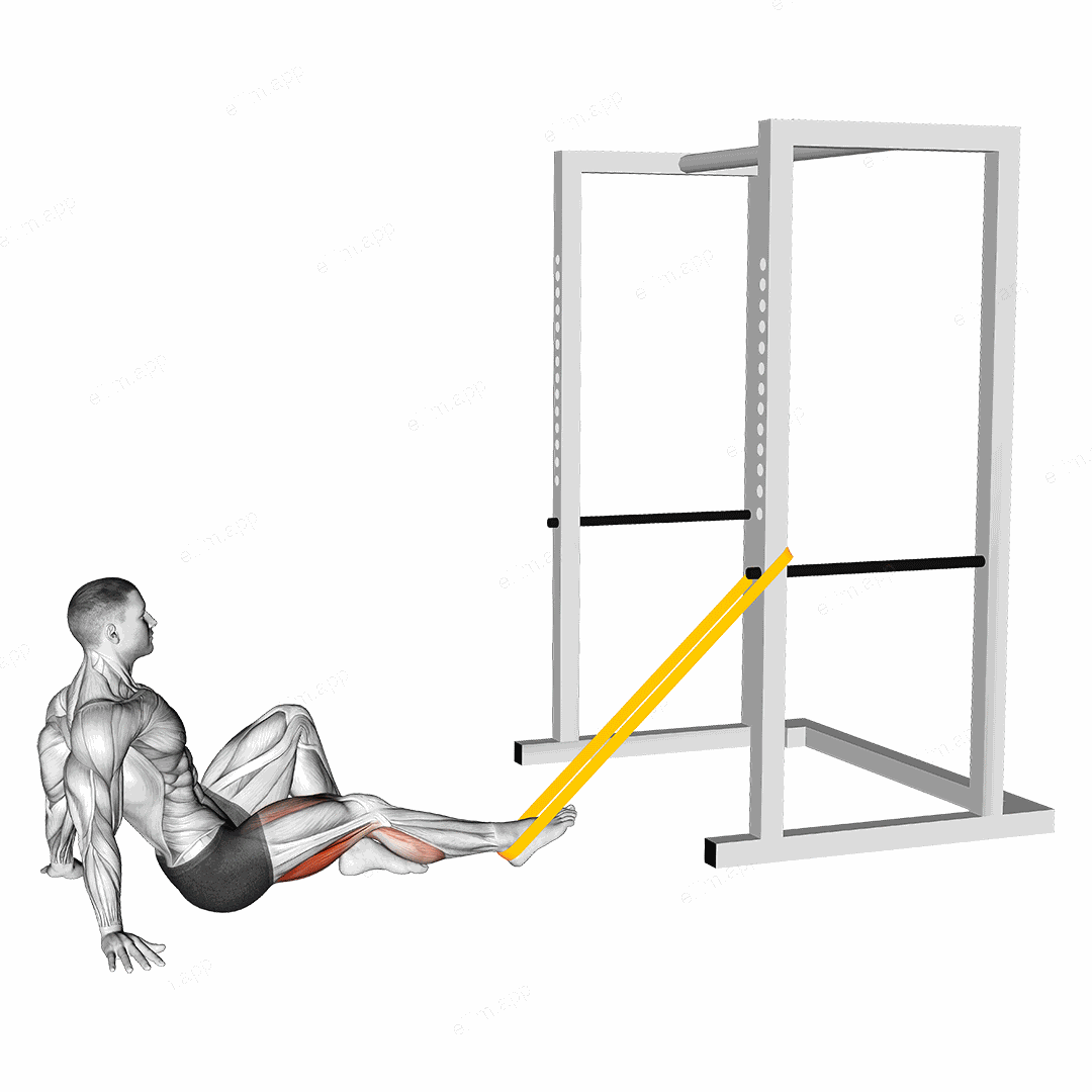 Resistance Band Seated Single Leg Curl exercise targeting Thighs and Hamstrings