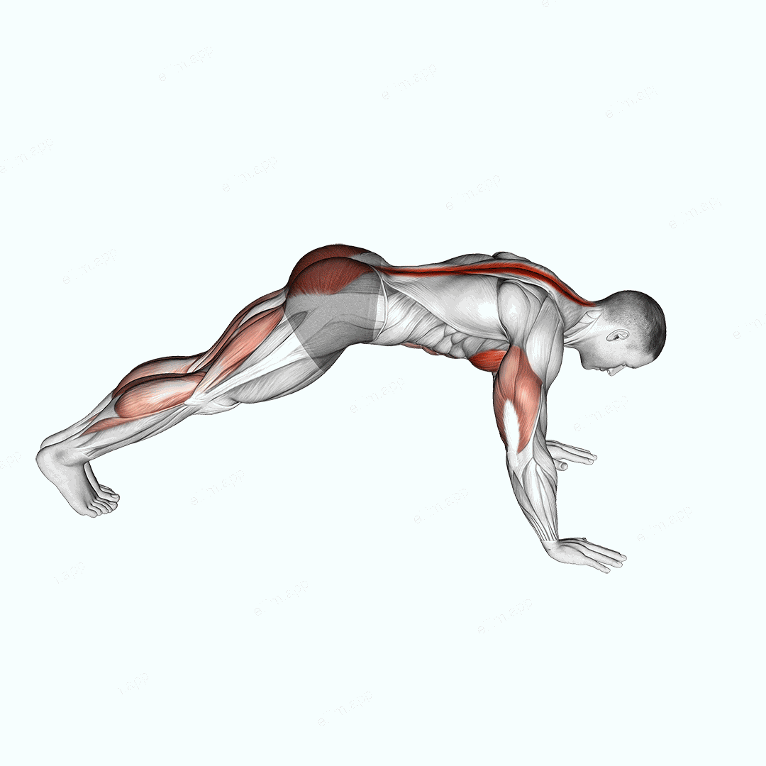 Cobra Push up exercise targeting Chest and Hips