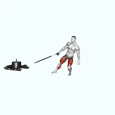 Power Sled Anti Rotation Forward Walk exercise targeting Hips