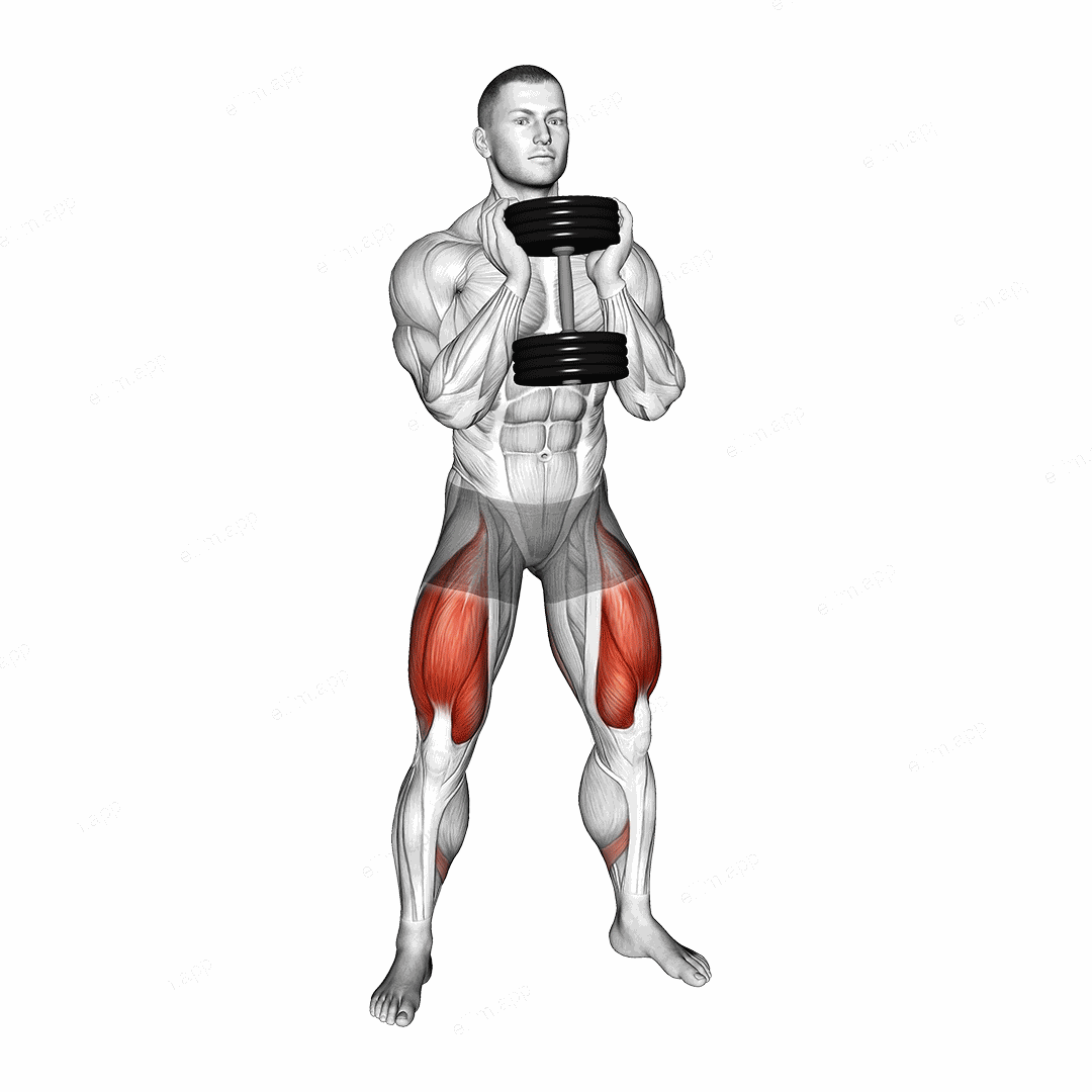 Dumbbell Goblet 2 sec Hold Squat exercise targeting Thighs and Gluteus Maximus
