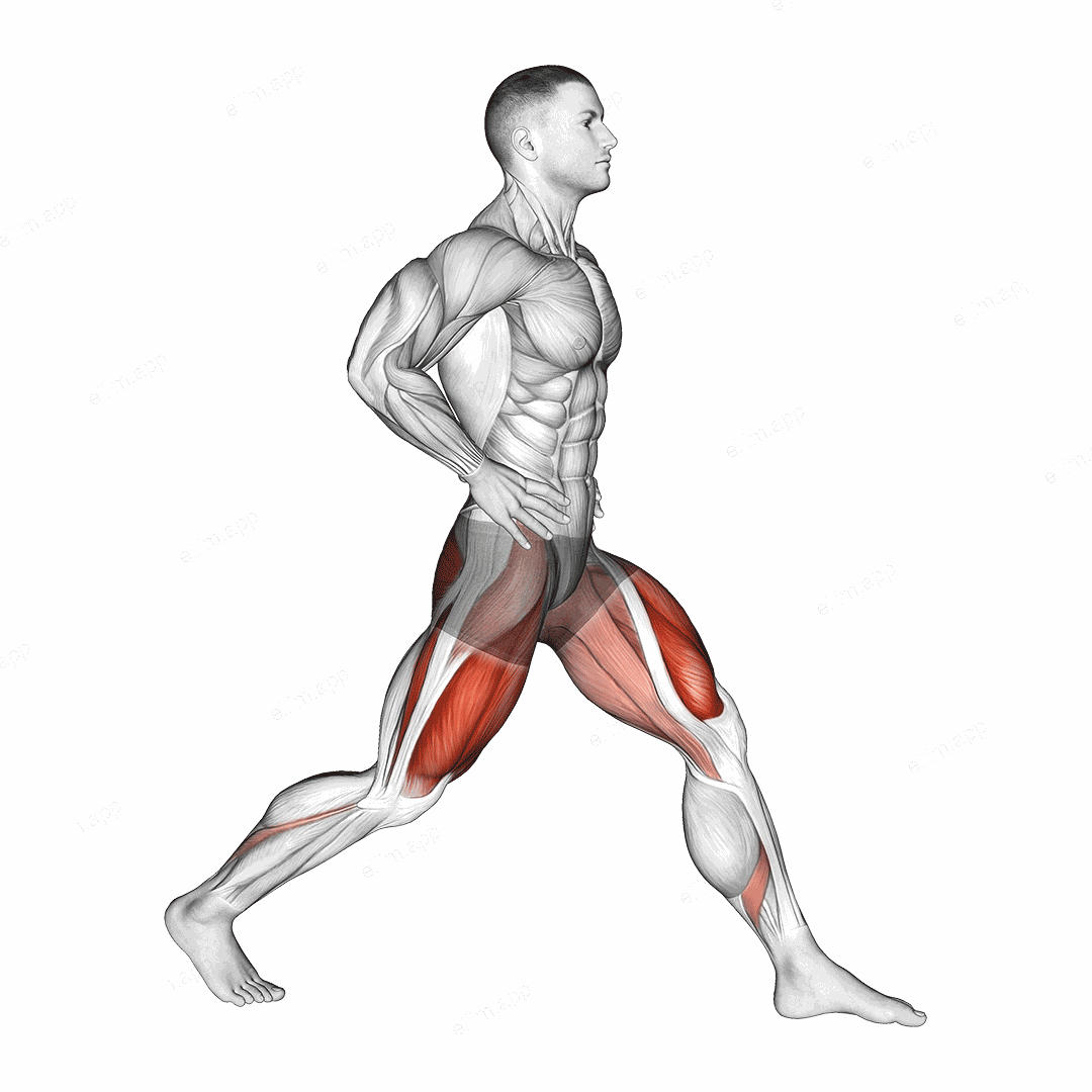 Static Lunge exercise targeting Thighs and Gluteus Maximus