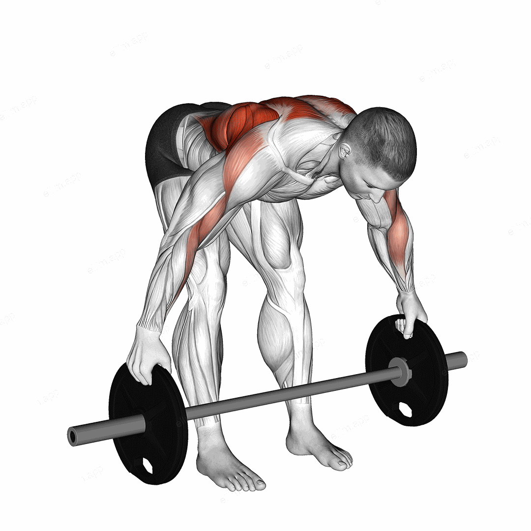 Barbell Bent Over Wide Alternate Row Plus exercise targeting Back and Infraspinatus