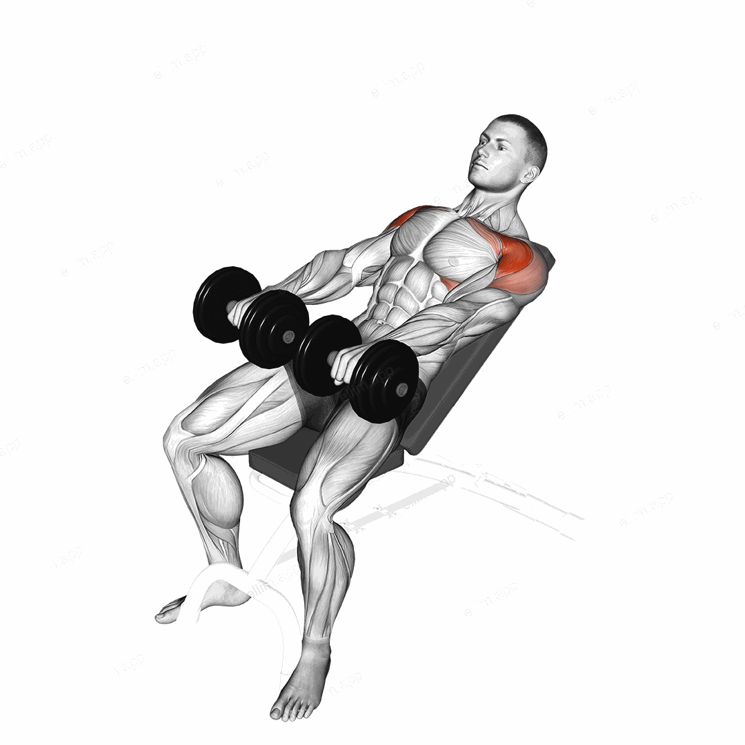 Dumbbell Incline Front Raise exercise targeting Shoulders and Deltoid Anterior