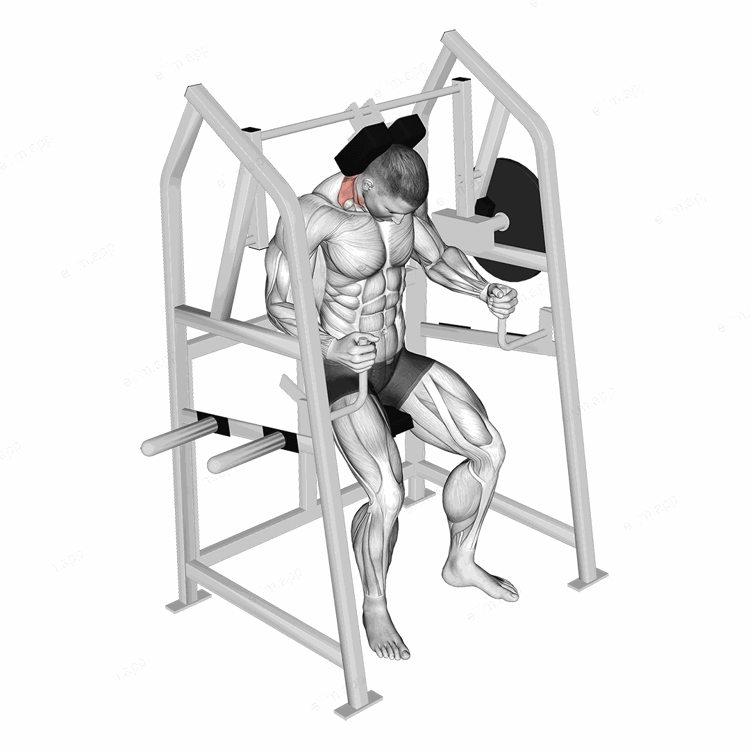 Lever Neck Extension (plate loaded) exercise targeting Neck
