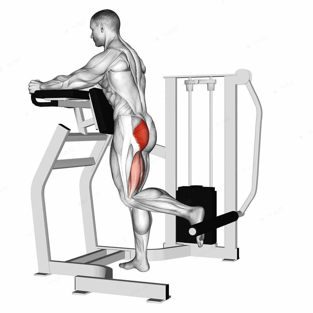 Lever Standing Hip Extension exercise targeting Hips and Triceps Brachii