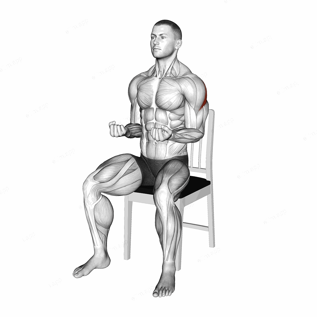 Seated External Rotation on a Chair exercise targeting Back