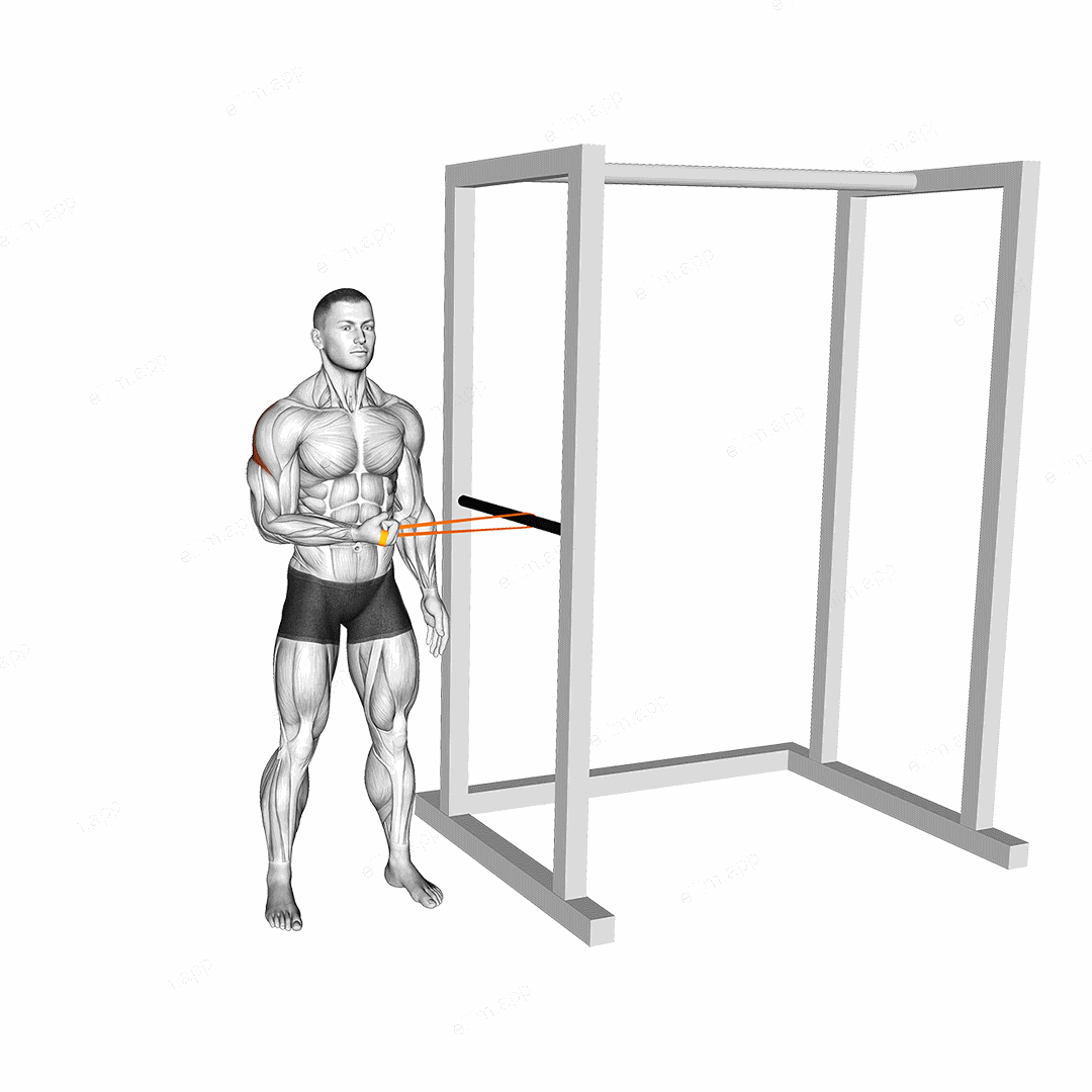Resistance Band Standing Shoulder Extrernal Rotation exercise targeting Back