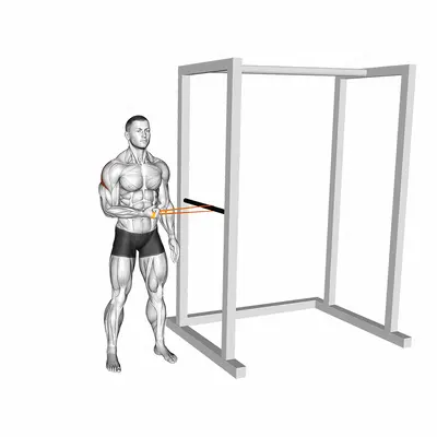 Resistance Band Standing Shoulder Extrernal Rotation exercise targeting Back