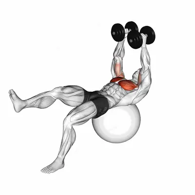 Dumbbell One Leg Fly on Exercise Ball exercise targeting Chest and Pectoralis Major Sternal Head