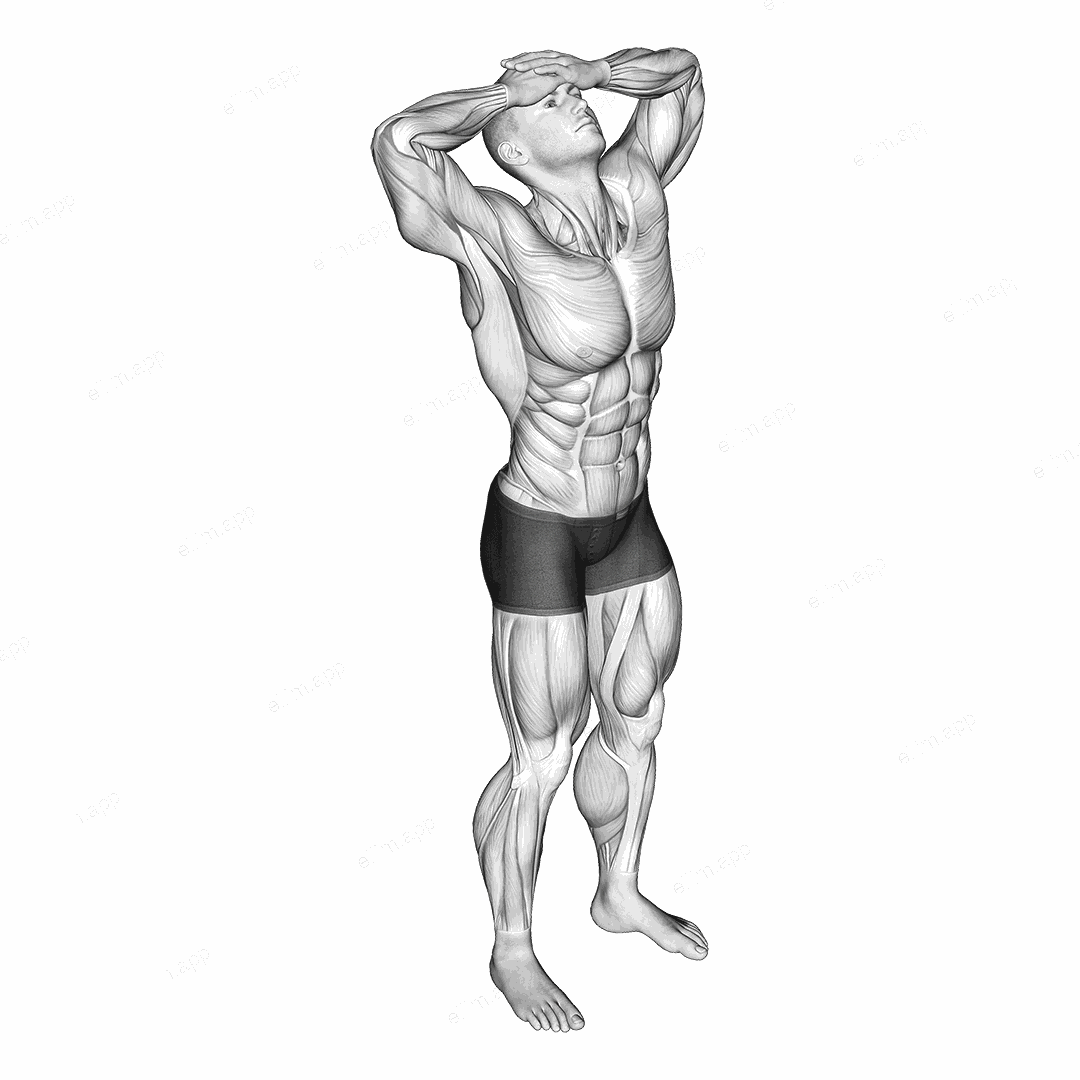 Neck Flexor Stretch exercise targeting Neck