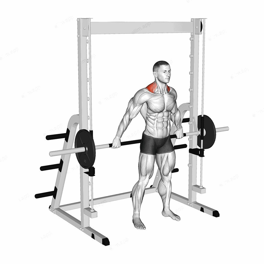 Smith Back Wide Shrug exercise targeting Back and Trapezius Upper Fibers