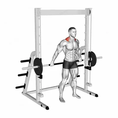 Smith Back Wide Shrug exercise targeting Back and Trapezius Upper Fibers