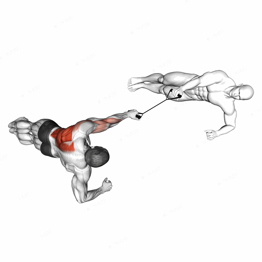Band Side Plank Row with Partner exercise targeting Back