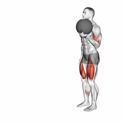 Medicine Ball Lunge with Biceps Curl exercise targeting Biceps Brachii and Gluteus Maximus
