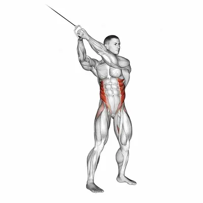 Cable twist (up down) exercise targeting Waist