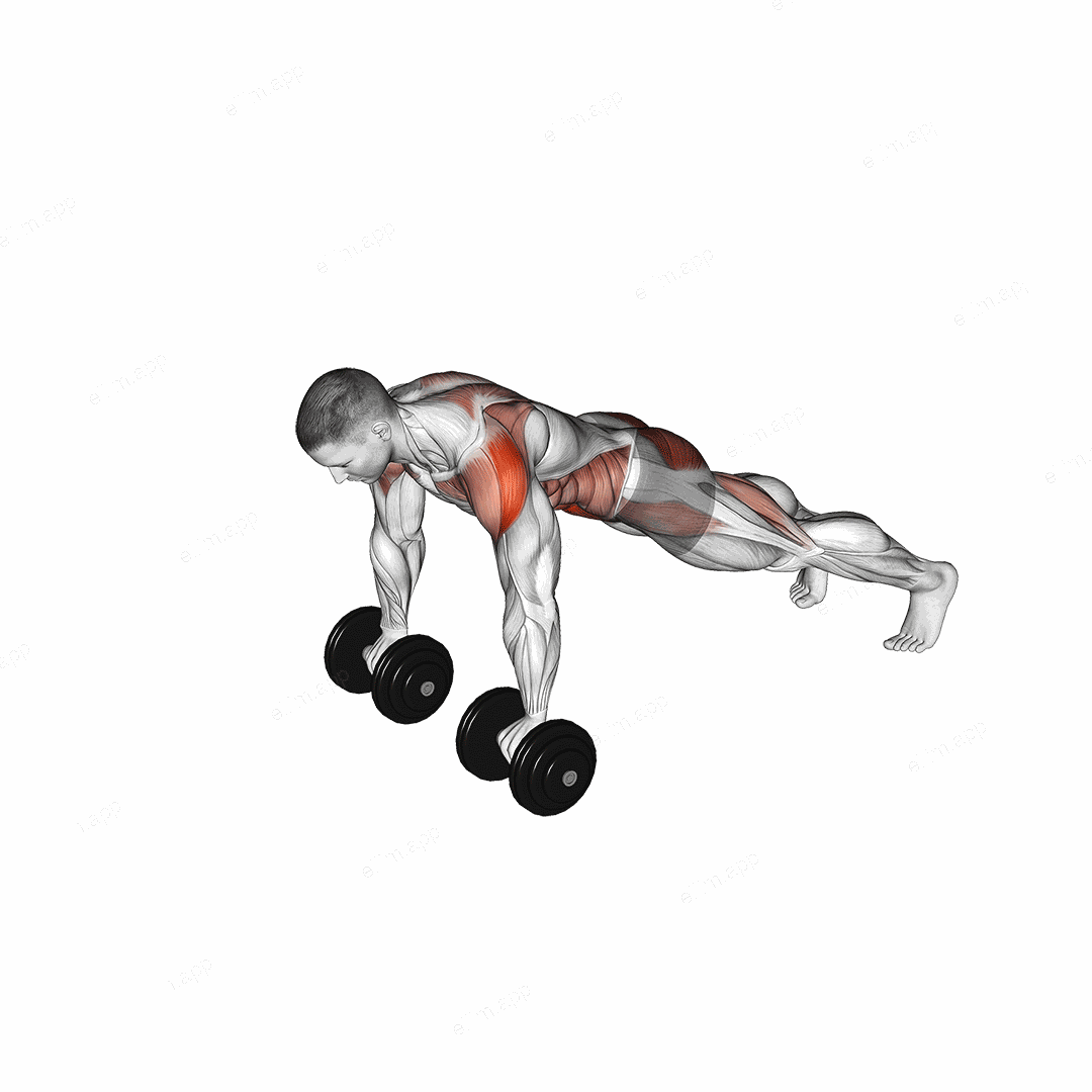 Dumbbell Front Plank Arm Leg Raise exercise targeting Waist
