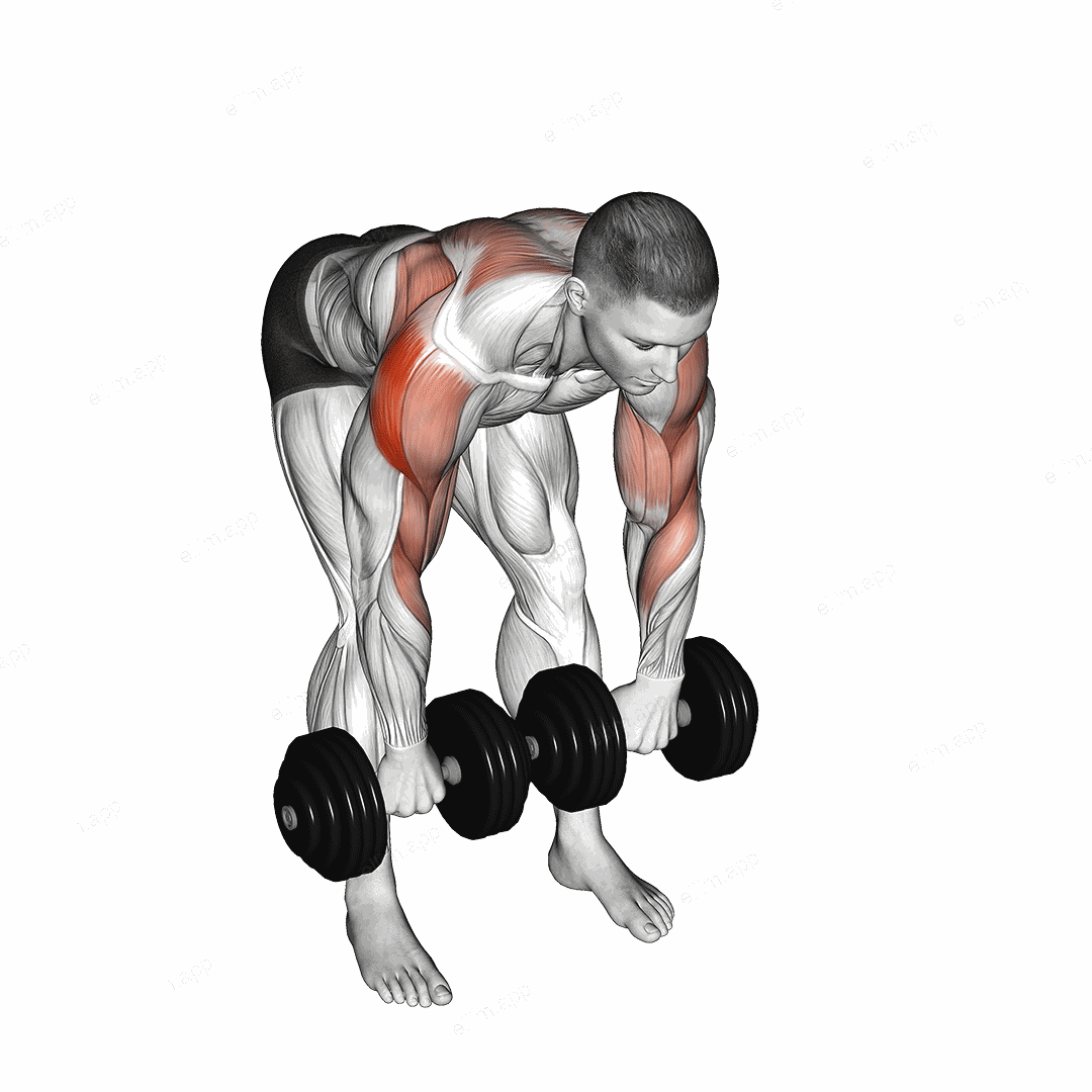 Dumbbell Bent Over Face Pull exercise targeting Shoulders
