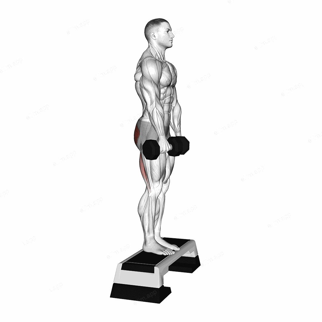 Dumbbell Jefferson Curl exercise targeting Hips