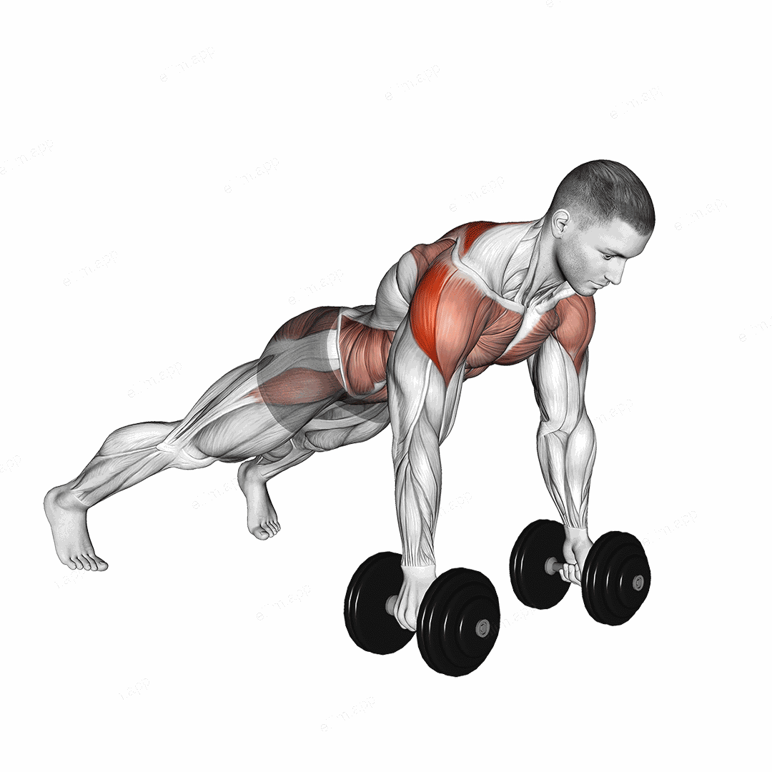 Dumbbell Lateral Raise Plank exercise targeting Waist