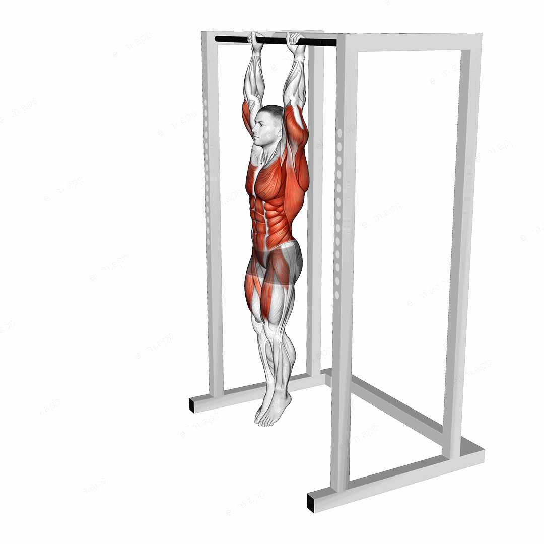 Hanging Front Lever Raise exercise targeting Waist