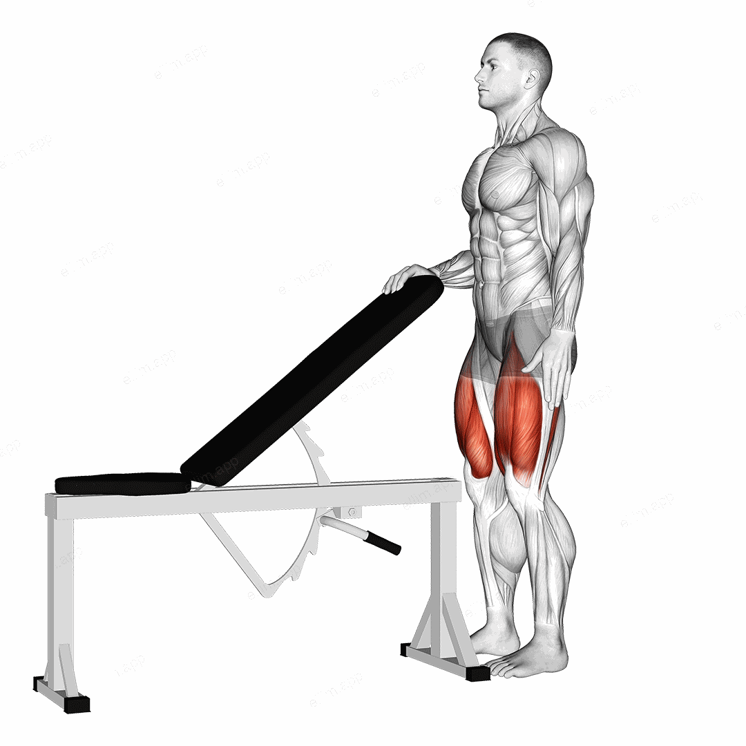 Sissy Squat Bodyweight exercise targeting Thighs