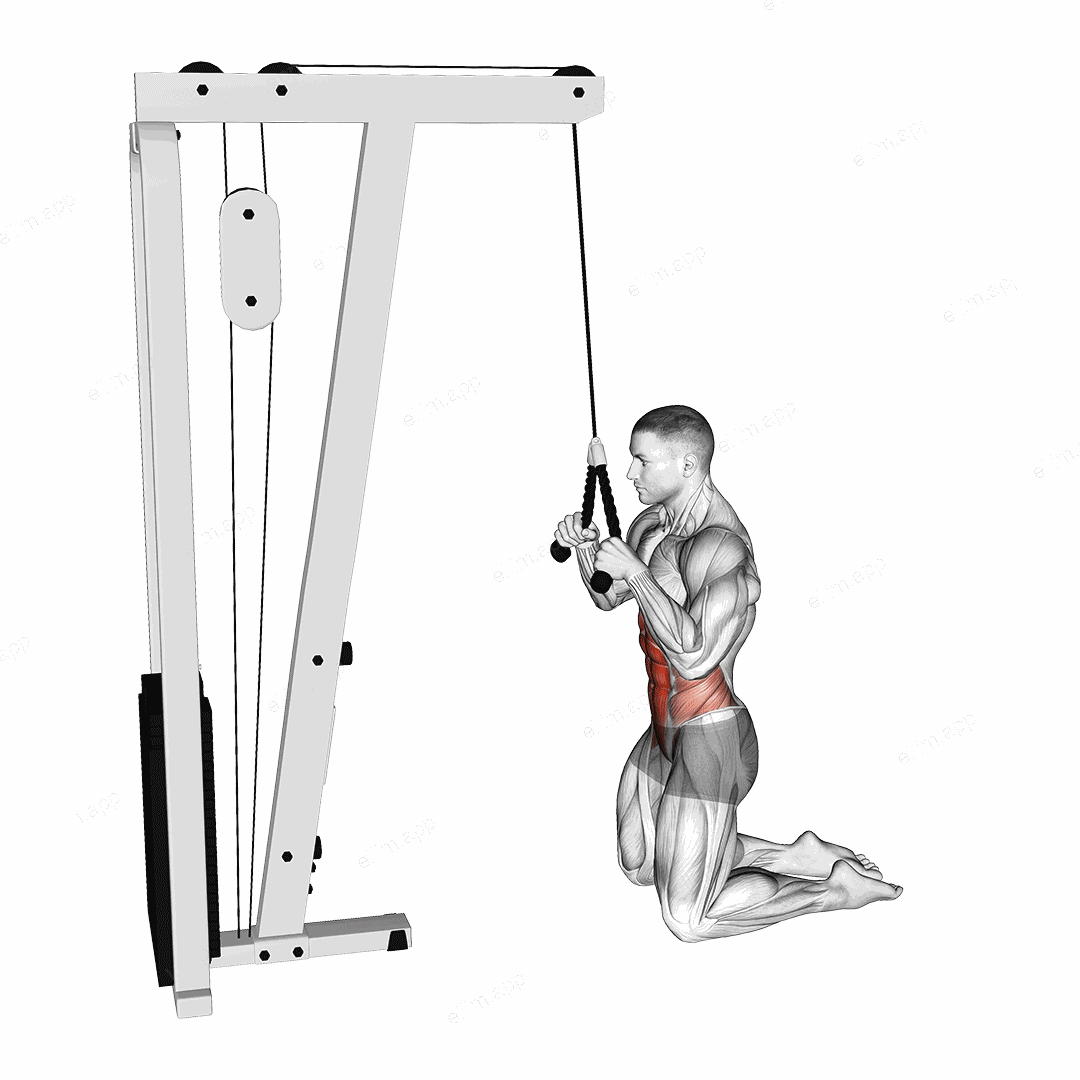 Cable Kneeling Crunch exercise targeting Waist and Rectus Abdominis
