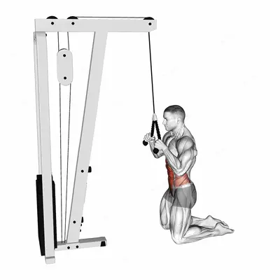 Cable Kneeling Crunch exercise targeting Waist and Rectus Abdominis
