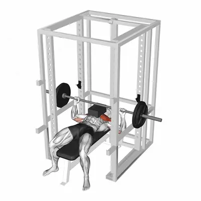 Barbell Bench Press with 3 board exercise targeting Chest
