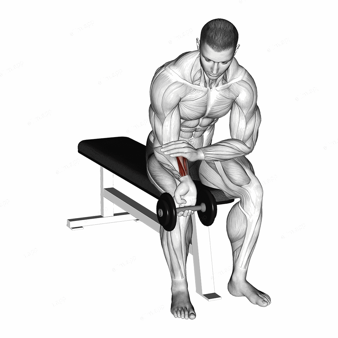 Dumbbell One arm Wrist Curl exercise targeting Forearms and Wrist Flexors