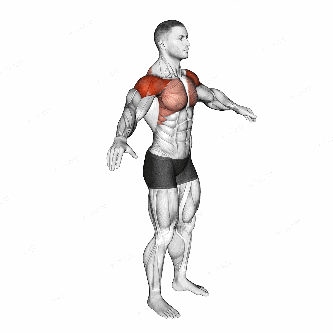 Arm Circles exercise targeting Shoulders and Deltoid Anterior